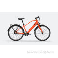 Trek E Mountain Bike personalizado